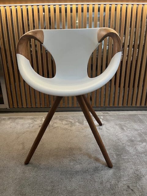 Esstischstuhl feststehend Esstischstuhl feststehend